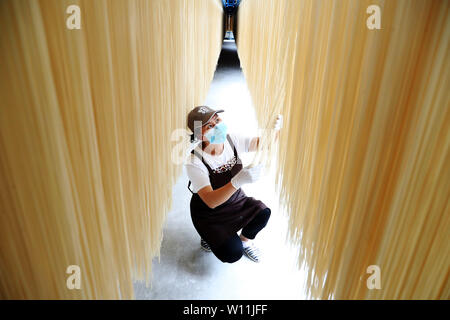 (190629) - chongqing, 29. Juni 2019 (Xinhua) - Ein Arbeiter prüft Nudeln in der Fabrik von Baiyujia Food Company in Qianjiang Bezirk, im Südwesten Chinas Chongqing, 28. Juni 2019. Xu Zhangqin, einer lokalen Nudel Teekocher, anfing, Hand-made Nudeln von seinen Eltern, als er ein Kind war. Xu eine Nudel Workshop in der frühen Phase der sein Geschäft lief, und später im Jahr 2015, die er zur Baiyujia Food Company, die Einführung moderner Nudelproduktion Linie der traditionellen manuellen Techniken mit mechanischen Geräten zu verbinden. Während traditionelle Nudeln, entwickelte er auch fast 20 varietie Stockfoto