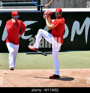 Los Angeles Angels' Shohei Ohtani warf ein Damm im Großraum vor der Major League Baseball Spiel gegen die Cincinnati Reds im Angel Stadion von Anaheim, Kalifornien, USA, 26. Juni 2019. (Foto von Lba) Stockfoto