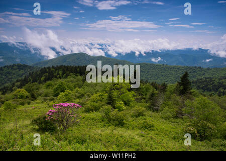 Puffy Wolken über die Berge entlang der Blue Ridge Parkway in North Carolina, USA. Stockfoto