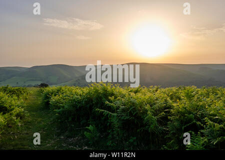 Sonnenuntergang über dem Long Mynd von Ragleth Hill Church Stretton, Shropshire gesehen Stockfoto