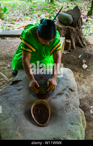 Die Chocolat, Oreba organischen Kakao, Oeste Arriba Fluss, Ngabe ethnische Gruppe, Provinz Bocas del Toro, Panama, Mittelamerika, Nordamerika Stockfoto