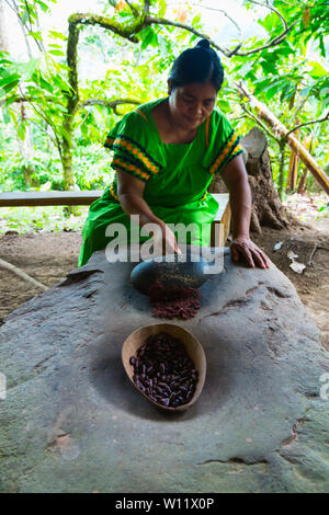 Die Chocolat, Oreba organischen Kakao, Oeste Arriba Fluss, Ngabe ethnische Gruppe, Provinz Bocas del Toro, Panama, Mittelamerika, Nordamerika Stockfoto