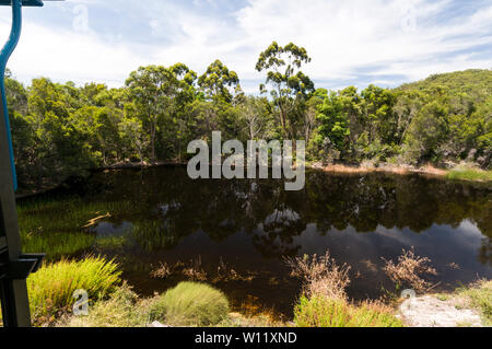 Eine große geschwärzt Billabong durch Regenwälder im Gelände der Kingfisher Bay Resort auf Fraser Island, Australien Fraser Island ist eine Worl Stockfoto