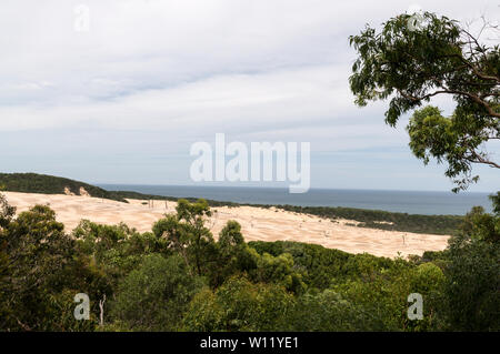 Die tiefe Treibsand der Stonetool Sandblow, ist ein aktives Mobile Schlag, ein Wald an der Ostküste von Fraser Island in Queensland, Austr abgedeckt Stockfoto