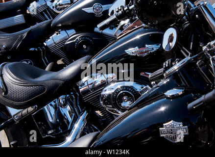 Hamburg, Deutschland. 29 Juni, 2019. Harley Davidson Motorräder werden auf dem Großhandelsmarkt während Harley Days 2019. Credit: Daniel Bockwoldt/dpa/Alamy leben Nachrichten Stockfoto