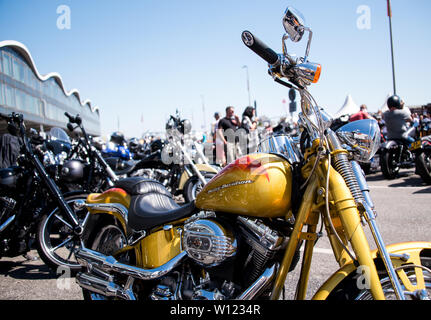 Hamburg, Deutschland. 29 Juni, 2019. Harley Davidson Motorräder werden auf dem Großhandelsmarkt während Harley Days 2019. Credit: Daniel Bockwoldt/dpa/Alamy leben Nachrichten Stockfoto