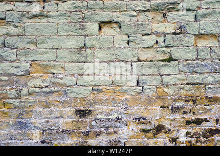 Hintergrund von einem alten grünen Mauer mit etwas Schimmel Stockfoto