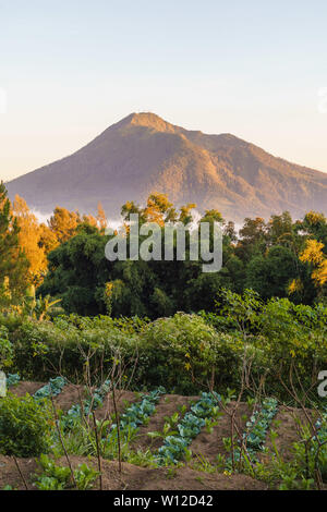 Telomoyo mountain sunrise Blick von Semarang, Indonesien Stockfoto