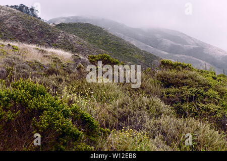 Nebel Rollen in über Hügel und Täler an Marin Headlands, Northern California, San Francisco Bay Area. Stockfoto