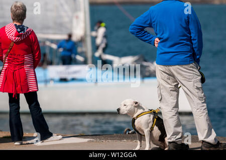 29. Juni 2019. Lerwick, Shetland, Großbritannien. Der Rückflug der Pantaenius - Bergen Shetland Rennen 2019 im hellen Sonnenschein heute als Yachten links Lerwick Hafen in Bergen in Norwegen gebunden. Urban Images-News/Alamy Stockfoto