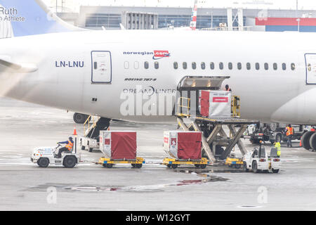 Moskau, Russland - 09 Mai 2019: Tag am Flughafen Sheremetyevo beschäftigt. Vorbereitung des Flugzeuges vor dem Flug, Beladen Stockfoto