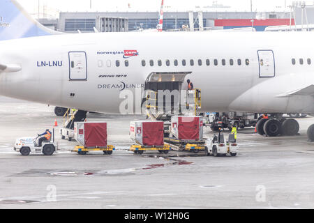 Moskau, Russland - 09 Mai 2019: Tag am Flughafen Sheremetyevo beschäftigt. Vorbereitung des Flugzeuges vor dem Flug, Beladen Stockfoto