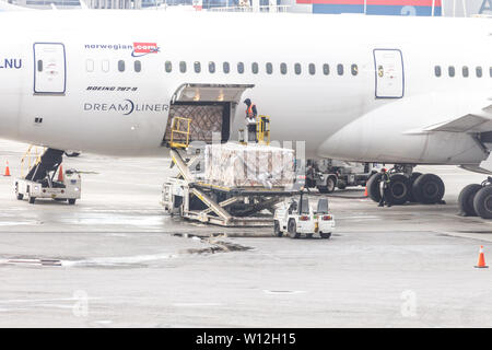 Moskau, Russland - 09 Mai 2019: Tag am Flughafen Sheremetyevo beschäftigt. Vorbereitung des Flugzeuges vor dem Flug, Beladen Stockfoto