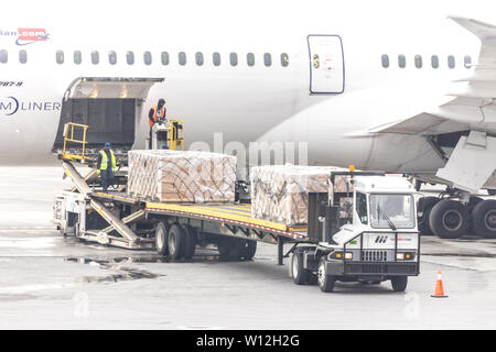 Moskau, Russland - 09 Mai 2019: Tag am Flughafen Sheremetyevo beschäftigt. Vorbereitung des Flugzeuges vor dem Flug, Beladen Stockfoto