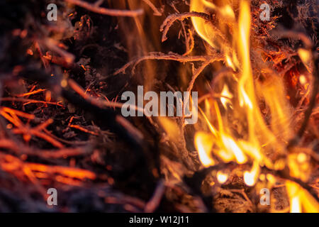 Wald wildfire bei Nacht ganze Gebiet durch Flammen und Wolken dunkler Rauch bedeckt. Verzerrte Informationen aufgrund der hohen Temperatur und Verdampfung Stockfoto