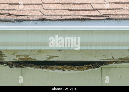Braun asphalt Schindeldach mit gutter auf verwitterte Abstellgleis und Holz von Garage Stockfoto