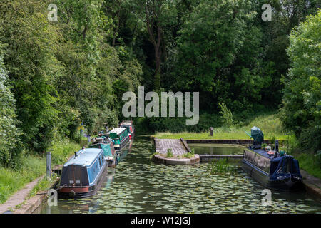 16/6/2019 Foxton Locks Stockfoto