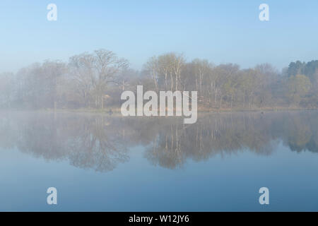 Nebel über See, Minnesota, USA, von Dominique Braud/Dembinsky Foto Assoc Stockfoto