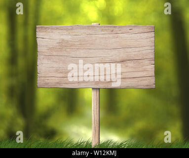 Leere altes verwittertes Holz Namensschild aus hellem Holz mit der Pole und verschwommenes Wald Hintergrund Stockfoto