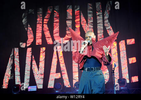 Den Haag, Niederlande. 29 Juni, 2019. Den Haag, 29-06-2019, Parkpop Samstag Nacht, Zuiderpark, Skunk Anansie Credit: Pro Schüsse/Alamy leben Nachrichten Stockfoto