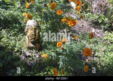 Alte steinerne Kopf Skulptur liegt im Grünen einer üppigen tropischen Vegetation im El Yunkque Berg über der Stadt Baracoa, Kuba Atlantische Küste Stockfoto