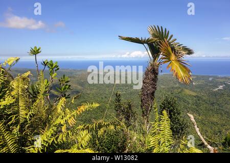 Tropische Vegetation und Fernen Atlantik Küste Horizont Landschaft vom Gipfel des El Yunque Berg über Baracoa Bay Kuba Stockfoto