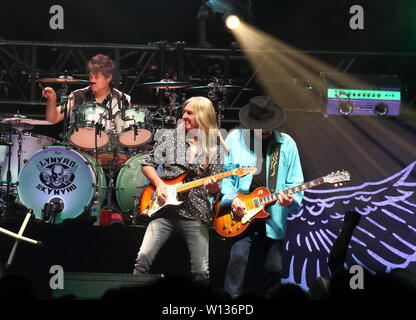 Lynyrd Skynyrd die London Datum der "Letzten der Straße Überlebenden Farewell Tour' an SSE Wembley Arena spielen Stockfoto