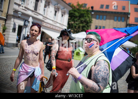 Maribor, Slowenien. 29 Juni, 2019. Menschen gesehen, die regenbogenfahnen während der Pride Parade. Etwa 800 Menschen, die an der ersten CSD-Parade in Maribor am Samstag kam. Maribor ist die zweitgrößte Stadt in Slowenien. Credit: SOPA Images Limited/Alamy leben Nachrichten Stockfoto