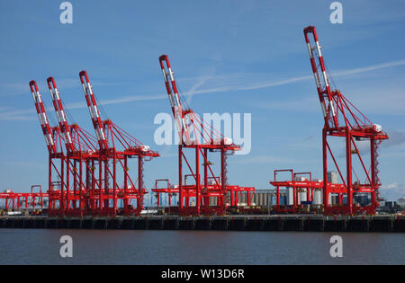 Die roten 'Mersey-Gateway' Portalkräne an der Liverpool 2, Seaforth Dock Container Terminal, Liverpool, Merseyside, England, UK. Stockfoto