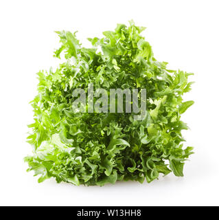 Frischer Salat, isoliert auf weißem Hintergrund Stockfoto