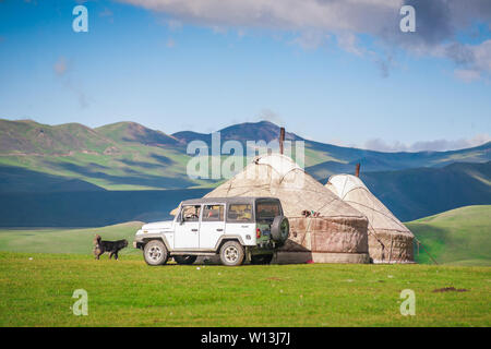 Ein Schäferhund wandert in der Nähe der Jurte auf dem Bayinbrook prairie Stockfoto