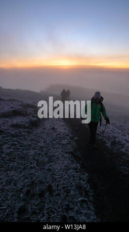 Mount Kilimanjaro, Mount Kilimanjaro Provinz/Tansania: 7. Januar 2016: viele Bergsteiger und Bergführer auf den Gipfel des Mount Kilimanjaro ankommen Stockfoto