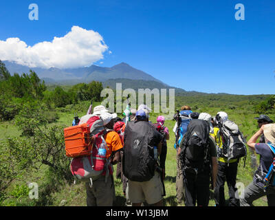 Arusha Nationalpark, Kilimanjaro Provinz/Tansania - 30. Dezember 2015: Bergführer und Kletterer vor der Besteigung des Mount Meru in Arusha zu starten Stockfoto