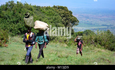 Arusha Nationalpark, Kilimanjaro Provinz/Tansania - 30. Dezember 2015: lokale Träger mit Zahnrad und Ausrüstung Wanderung auf den Gipfel des Mount Stockfoto