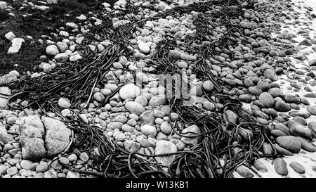 Der Smitswinkel Bay Shoreline auf Südafrika der False Bay Küste, in der Nähe der Stadt Cape Town Stockfoto