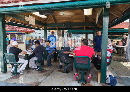 Die älteren Einheimischen Männern sammeln und Dominos auf Maximo Gomez Park/Domino Park an der Calle Ocho in Little Havana, Miami, Florida USA spielen. Stockfoto
