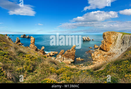 Schöne blühende Atlantik Küste Landschaft mit gelben Blüten vor (in der Nähe von arnia Strand, Biskaya, Kantabrien, Spanien). Mehrere Schüsse Stich Stockfoto