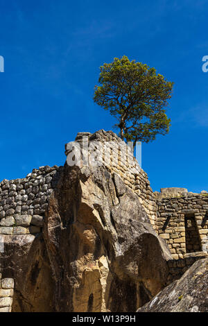 Tempel der Condor, Machu Picchu, Urubamba, Cusco Region, Peru, Südamerika Stockfoto