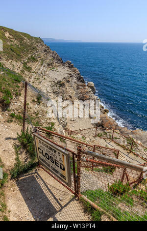 Fossiler Wald natürliche Eigenschaft in der Nähe von Lulworth Cove, Dorset, England, Großbritannien Stockfoto