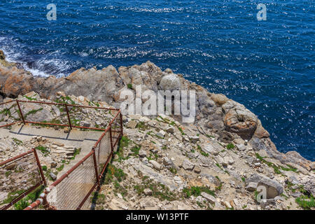 Fossiler Wald natürliche Eigenschaft in der Nähe von Lulworth Cove, Dorset, England, Großbritannien Stockfoto