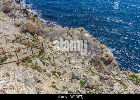 Fossiler Wald natürliche Eigenschaft in der Nähe von Lulworth Cove, Dorset, England, Großbritannien Stockfoto