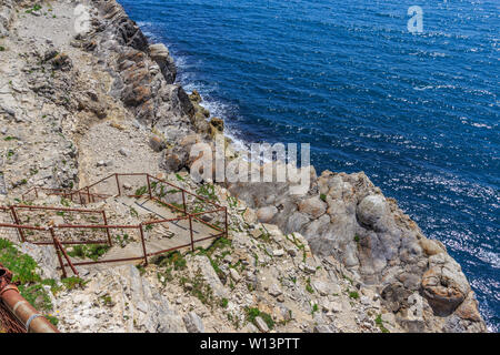 Fossiler Wald natürliche Eigenschaft in der Nähe von Lulworth Cove, Dorset, England, Großbritannien Stockfoto