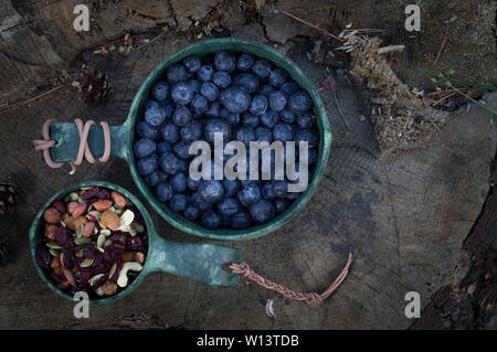 Große und kleine Schüssel. Eine große Schüssel mit Heidelbeeren und einen kleinen mit Muttern. Flach. Stockfoto