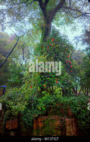 Huqiu Mountain Scenic Area, Suzhou Stockfoto