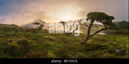 Azoren Wacholder Lagoa do Capitao gegen die Wolken in der Nähe der Berg Pico, São Roque Pico die Insel Pico, Azoren, Portugal Stockfoto