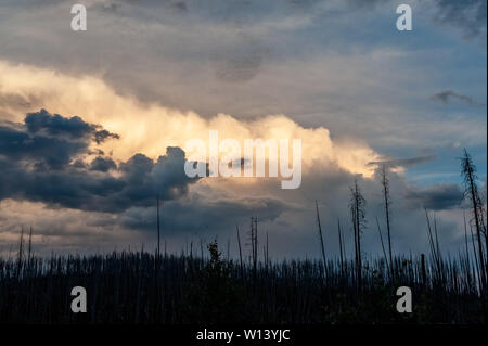 Stormclouds Aufbau über Lake Yellowstone, kurz nach Sonnenuntergang. Stockfoto