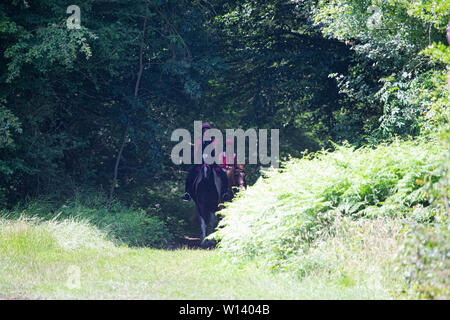 Seeburg, Kent. Samstag 29 Juni 2019, Fahrt für das Leben am Tor der Zünfte. Fahrer ab von Woodland Stockfoto