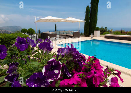 Petunien in einem lebendigen Garten im Süden von Frankreich an der Cote d'Azur zwischen Monaco und Nizza in der Nähe von Eze Stockfoto