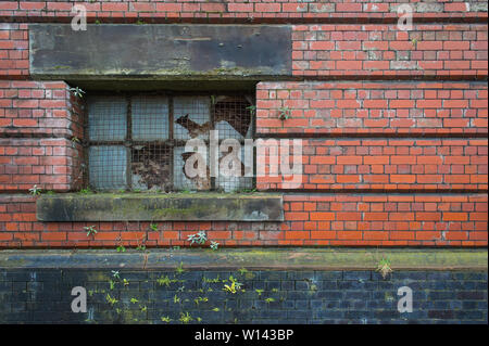 Ein Bild aus dem stillgelegten Mayfield Bahnhof im Zentrum von Manchester am Sonntag, den 28. Januar 2018. Stockfoto