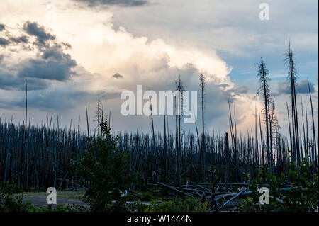 Eine große Gewitterwolken emassing über Lake Yellowstone an einem Sommerabend. Stockfoto